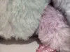 Ghi âm & lặp lại Tie Dye Sloth màu sắc rực rỡ đồ chơi Plush Sloth có thể nói chuyện