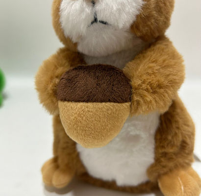 Nhà máy tùy chỉnh bán buôn đồ chơi bông squirrel được ghi lại