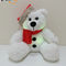 Xmas LED chiếu sáng Gấu sang trọng với mũ ông già Noel cho trẻ em Quà tặng LED cho trẻ em Đồ chơi sang trọng