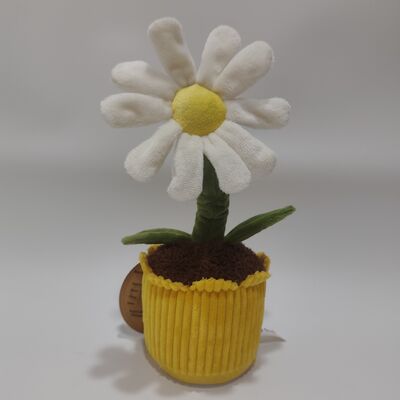 Ghi âm và Rolling Daisy Plush Toy